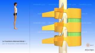 La colonne vertébrale simplifiée et la vertèbre type [upl. by Atinnod]