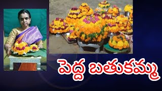 Saddula Bathukamma padunga2024 [upl. by Brittney]