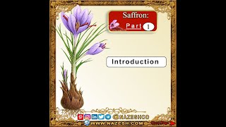 Saffron Crocus sativuspart 1  Introduction [upl. by Broeder]