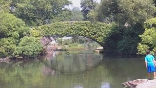 Gapstow Bridge In Central Park New York City [upl. by Cohla]