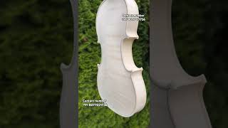 Indian violin [upl. by Asseral]