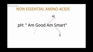 Mnemonic for amino acid essential amino acids non essential amino acid semi essential amino acid [upl. by Cockburn805]