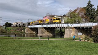 TasRail 2054 TR16 46 Coal train passing through Deloraine [upl. by Aig113]