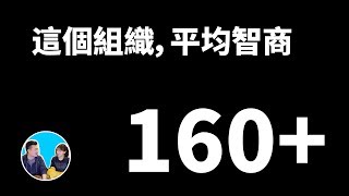 一個平均智商超過160的組織每天都在幹什麼，CERN  老高與小茉 Mr amp Mrs Gao [upl. by Molahs406]