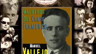 Manuel Vallejo  Creyendo Que Iba a Volver Fandangos Flamenco Masters [upl. by Reyam]