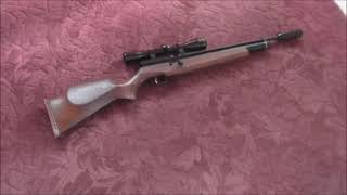 Webley Raider Air Rifle [upl. by Gurias327]