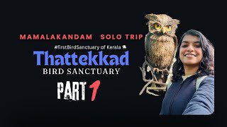 Thattekkad Bird Sanctuary  Butterfly Garden Aquarium amp Bird Watching Mini Vlog [upl. by Eiramaneet792]