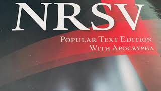 2 Esdras NRSV Bible Chapter 15 Apocryphal Audiobook [upl. by Anihcak]