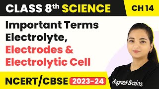 Class 8 Science Chapter 14  Important Terms Electrolyte Electrodes and Electrolytic Cell [upl. by Jammal307]