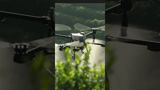 FAQ  SmallScale Agriculture Drone [upl. by Zumwalt]