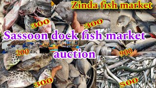 Sassoon dock fish market auction  Sassoon Dock Fish Market  Zinda fish market  fish market [upl. by Rotkiv]