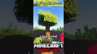 I Made Skyblock in Minecraft Hardcore 22 [upl. by Jaymie]