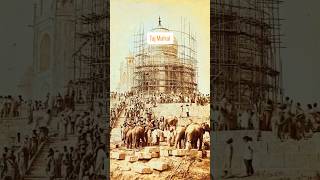 How the video of Old Taj Mahal was made viralvideo viralvideo youtubeshorts [upl. by Farlay]