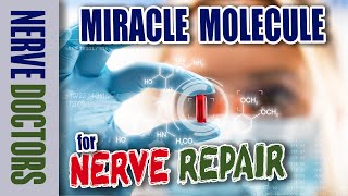 Miracle Molecule for Nerve Repair  The Nerve Doctors [upl. by Iznil]