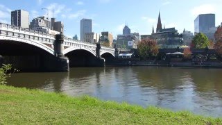 Melbourne Princes Bridge Yarra River Alexandra Gardens Background video for green screen free [upl. by Chae715]