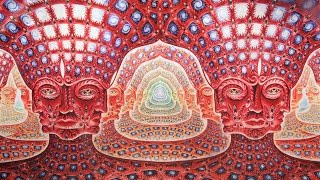 What World Do We Enter Under DMT and Ayahuasca [upl. by Miran634]