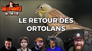 LE RETOUR DES ORTOLANS Worms WMD [upl. by Leahkim]