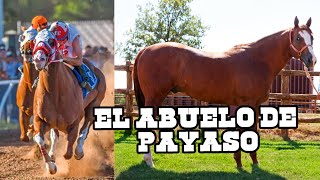 Los Mejores Sementales en Carreras de Caballos  Productores Cuarto de Milla [upl. by Kcirtemed]