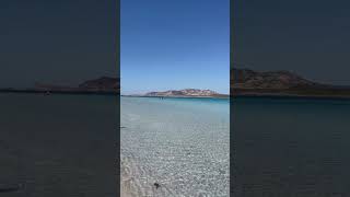 Spiaggia La Pelosa  Sardegna  Sardinian Beaches  Holidays  Relax eleonoramartis [upl. by Balf521]