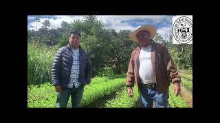 Entrevistas en el Vivero los aposentos a productor de plantas de durazno [upl. by Aninat]