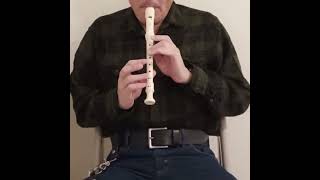 Surprise Symphony  Haydn on recorder [upl. by Thorman]