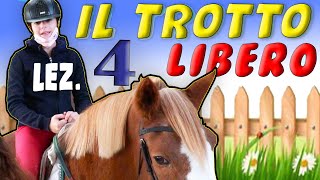 A SCUOLA DI EQUITAZIONE  COME ANDARE AL TROTTO LIBERO  LEZ 4 [upl. by Sheply756]