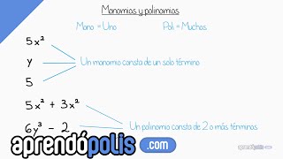 Monomios y Polinomios [upl. by Pritchett]