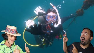 Divers React to Terrifying Wreck Experience [upl. by Amir]