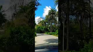 Gaavutubeshorts greennature travel greencare song viralvideo [upl. by Hedges]