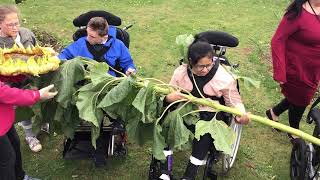 Luton in Bloom Best School Garden Project 2023 [upl. by Laeynad]