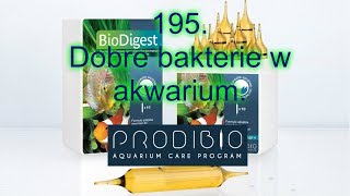 Dobre bakterie w akwarium Prodibio [upl. by Abraham]