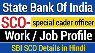 Special cader officer kya hota hai  SBI SCO work  special cadre Officer job profile [upl. by Ynohtnaed]