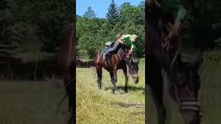 Epic fall for both of us😆 horse horseriding fail epicfails funnyfails [upl. by Nerrawed]