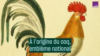 À lorigine du coq emblème national  CulturePrime [upl. by Shoshana]