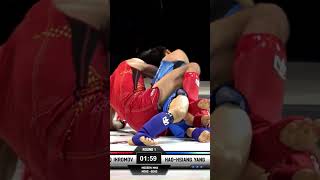 MMA Takedowns and TKO finish [upl. by Attiuqahs]