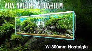 ADAview W1800mm Nature Aquarium Layout Nostalgia【ENJP Sub】 [upl. by Ashraf]