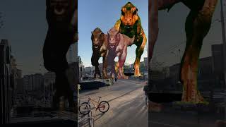 Tyrannosaurus T Rex chase Part 125 tyranosaurus dinosaur dinosaurios trexchase top rec [upl. by Charry]