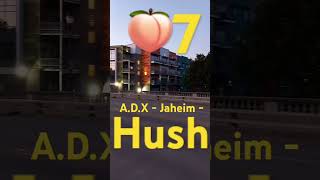 ADX  Jaheim  Hush [upl. by Aseeral587]