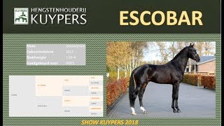 ESCOBAR Hengstshow Kuypers 2018 [upl. by Ydnih]