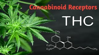 CANNABINOID RECEPTORS LECTURE 63 [upl. by Mharba]