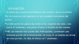 COURS DE BIOLOGIE 8E AF  CARACTERISTIQUES DES ARTHROPODES [upl. by Nahsor]