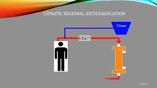 Citrate Anticoagulation Quick Review [upl. by Tsepmet428]