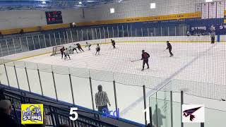 15U Sting vs Chesterfield Practice Game 92824 [upl. by Shugart244]