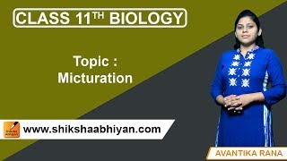 Micturation  CBSE Class 11 Biology [upl. by Ruberta572]