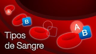 Tipos de Sangre  ¿Qué son y cómo funcionan [upl. by Tnecnivleahcim]