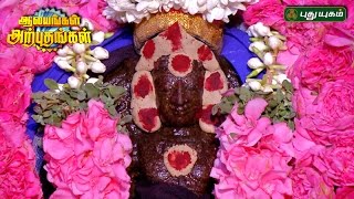 Pongu Saneeswaran Temple Thirukkollikadu  Aalayangal Arputhangal  15042017 [upl. by Netsrijk]