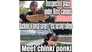 Bachelor of dental surgery Bsc nursing college N unexpected place under Rims campuschinki ponki Me [upl. by Silverts]