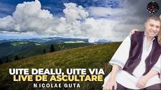 Nicolae Guta  Uite dealu uite via  LIVE De Ascultare [upl. by Magnuson]