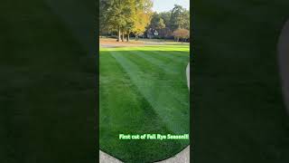 First cut of Fall Rye Season 11124 overseeding ryegrass lawngoals dadlife grass mowmylawn [upl. by Nihhi]