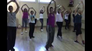 ZNS SISSI ZUMBA Remix Alabina Big Ali 2013 ORIENTAL élève de GRETZ MIDI [upl. by Tayyebeb741]